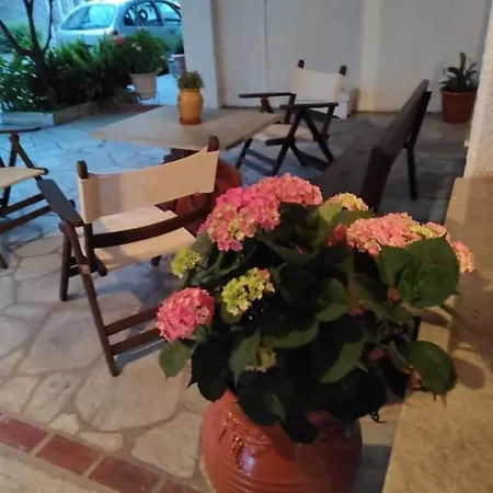 Eirini Filippou 3* بلاك كالا